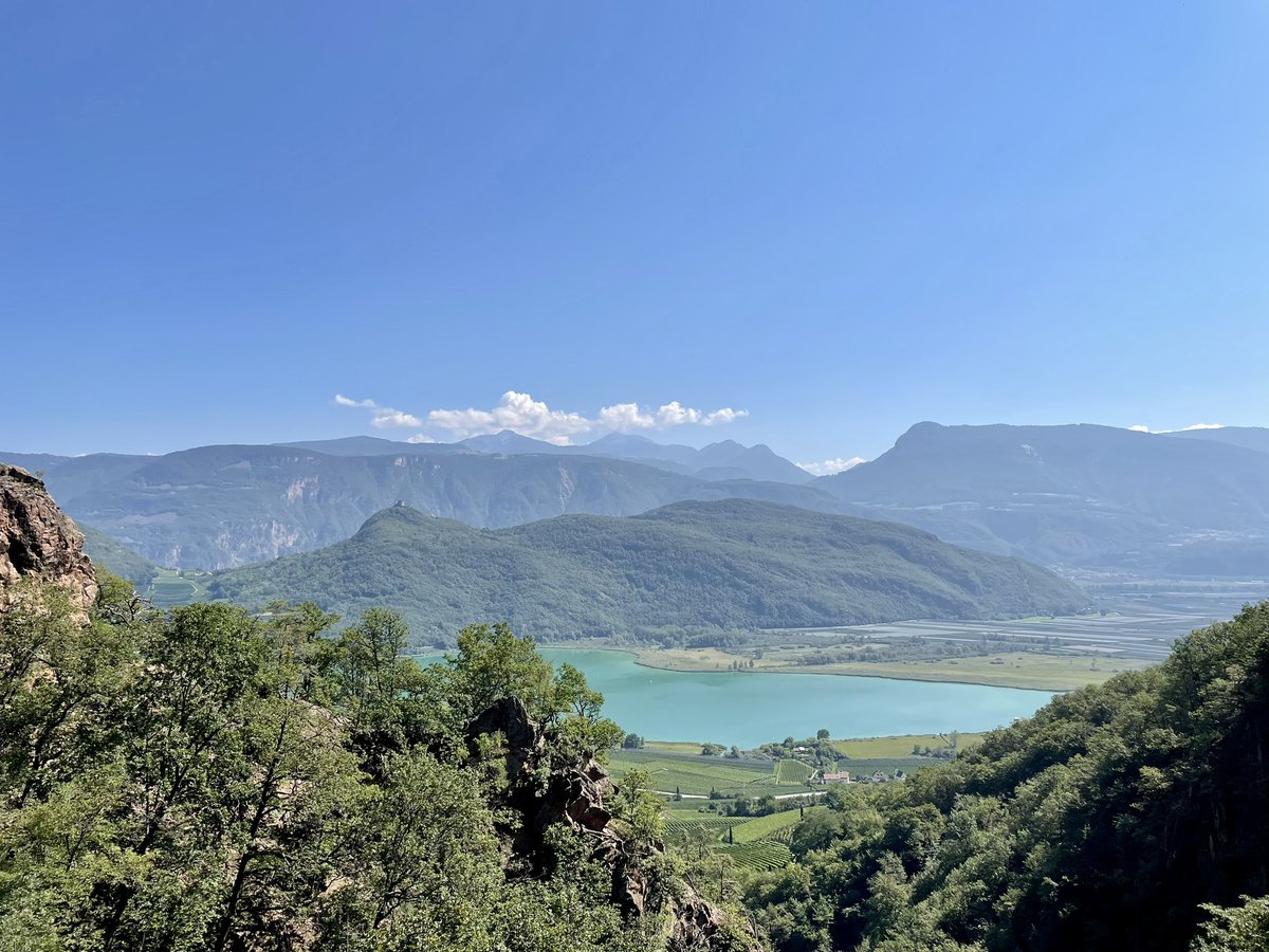 franksteibli's tweet image. #Wandern in #AltoAdige 🥾
Heute #Kaltern 🇮🇹❤️
(11,6 km, 400 HM)