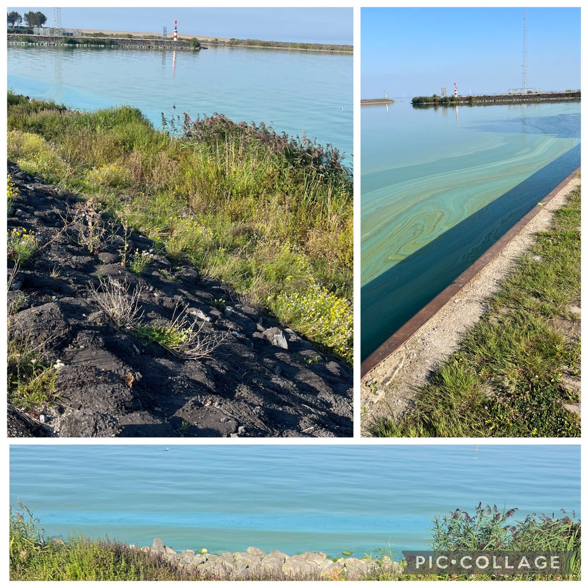 Denk je ff te gaan vissen op de Markerwaarddijk (N307 Lelystad - Enkhuizen) voordat we hem gaan afsluiten voor onderhoud, is het één grote groene soep.  Niks aan te doen, hetzij zo.
Hij gaat iig vanavondvan 20:00uur tot uiterlijk morgenochtend 06:00uur dicht voor al het verkeer.