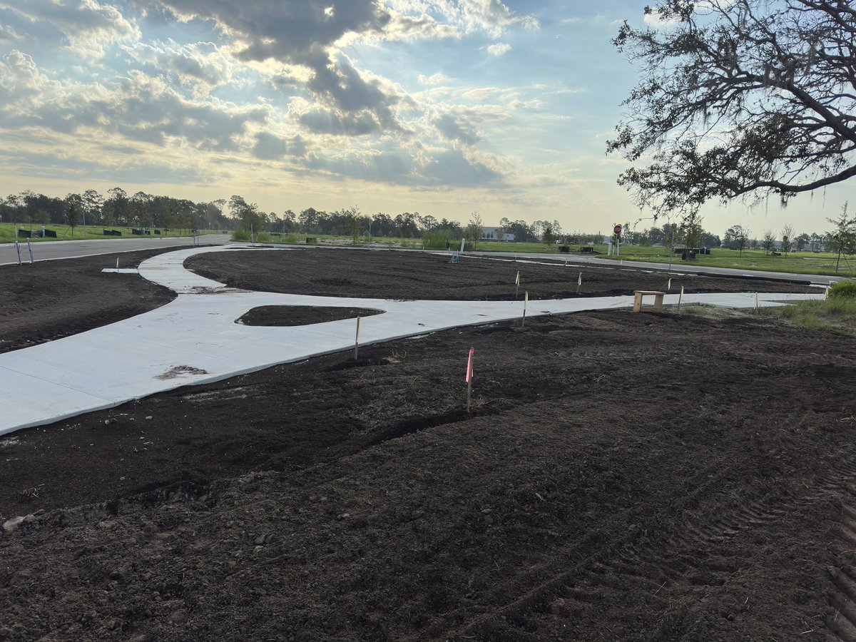 Mark Singleton tweet media