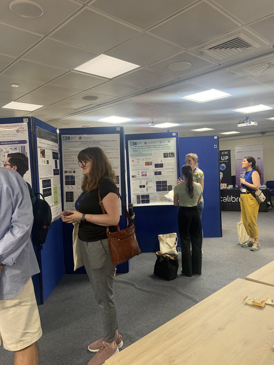 During the lunch break there was also an opportunity for a poster session and networking between all participants. Thanks to all for preparing poster and for engaging in discussions!