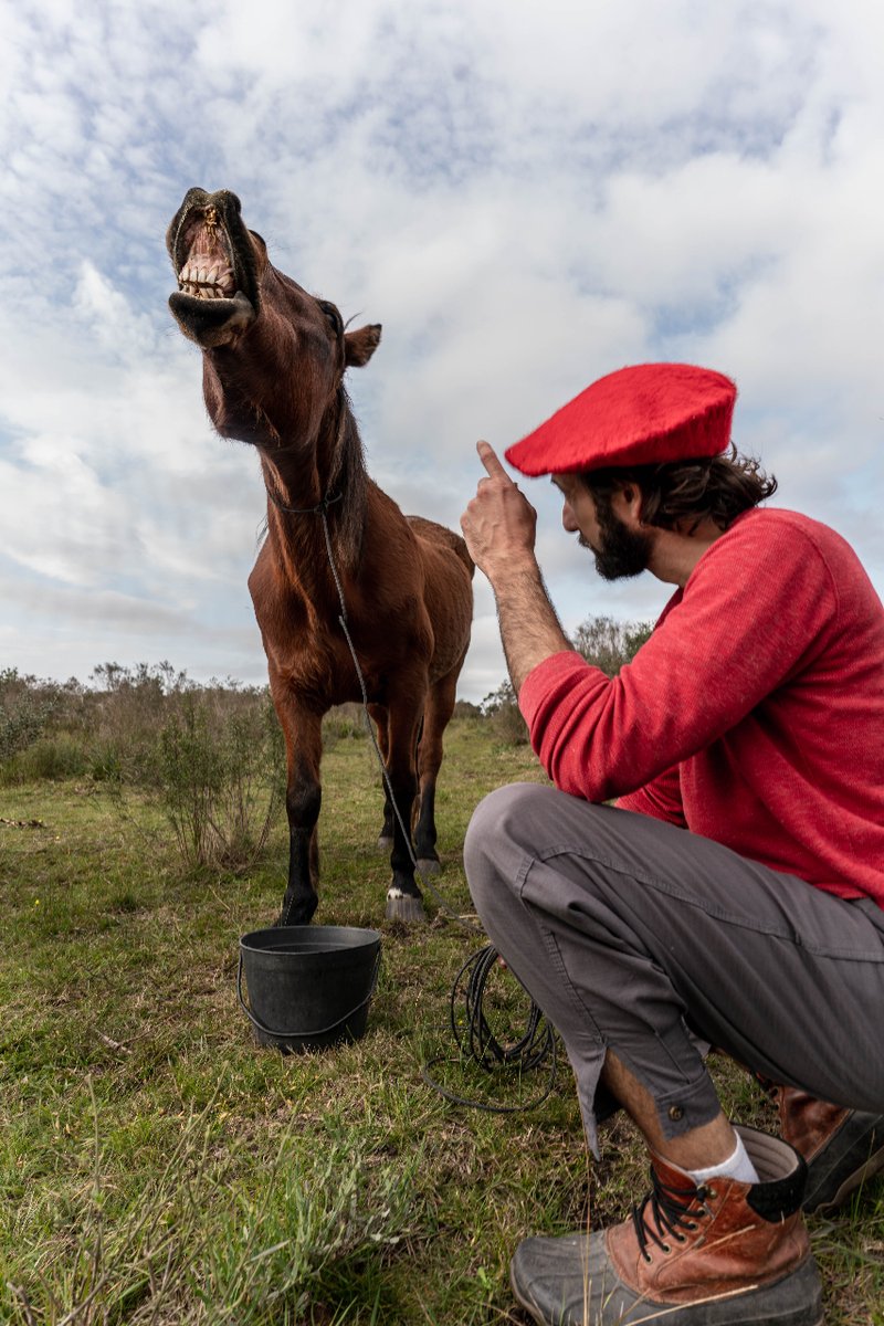 'If you do not show your soul to the horse, he will not show you his' That is what the taming of the natives of the pampas is all about. A way of life that the chief chose to call 'Doma India' santuarioprimitivo.com/en/ #horses #animalrescue #animallovers #animals #savinglives