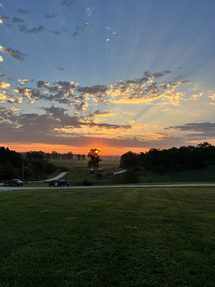 AKientzy's tweet photo. It’s a beautiful morning. Show me 📸 your favorite photo of your week. #thisweekinpics https://t.co/L3TQnBw6O5