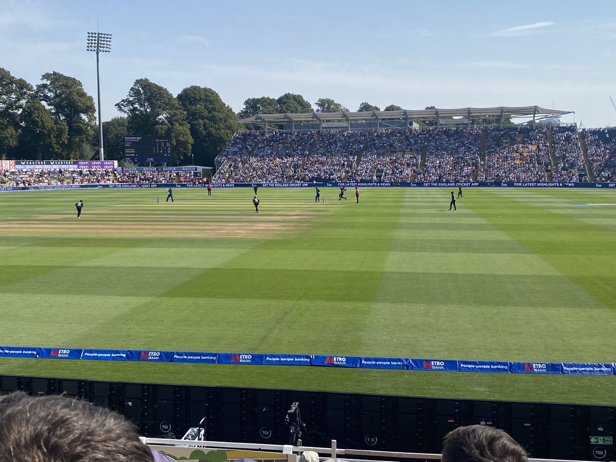 England v NZ #scorchio