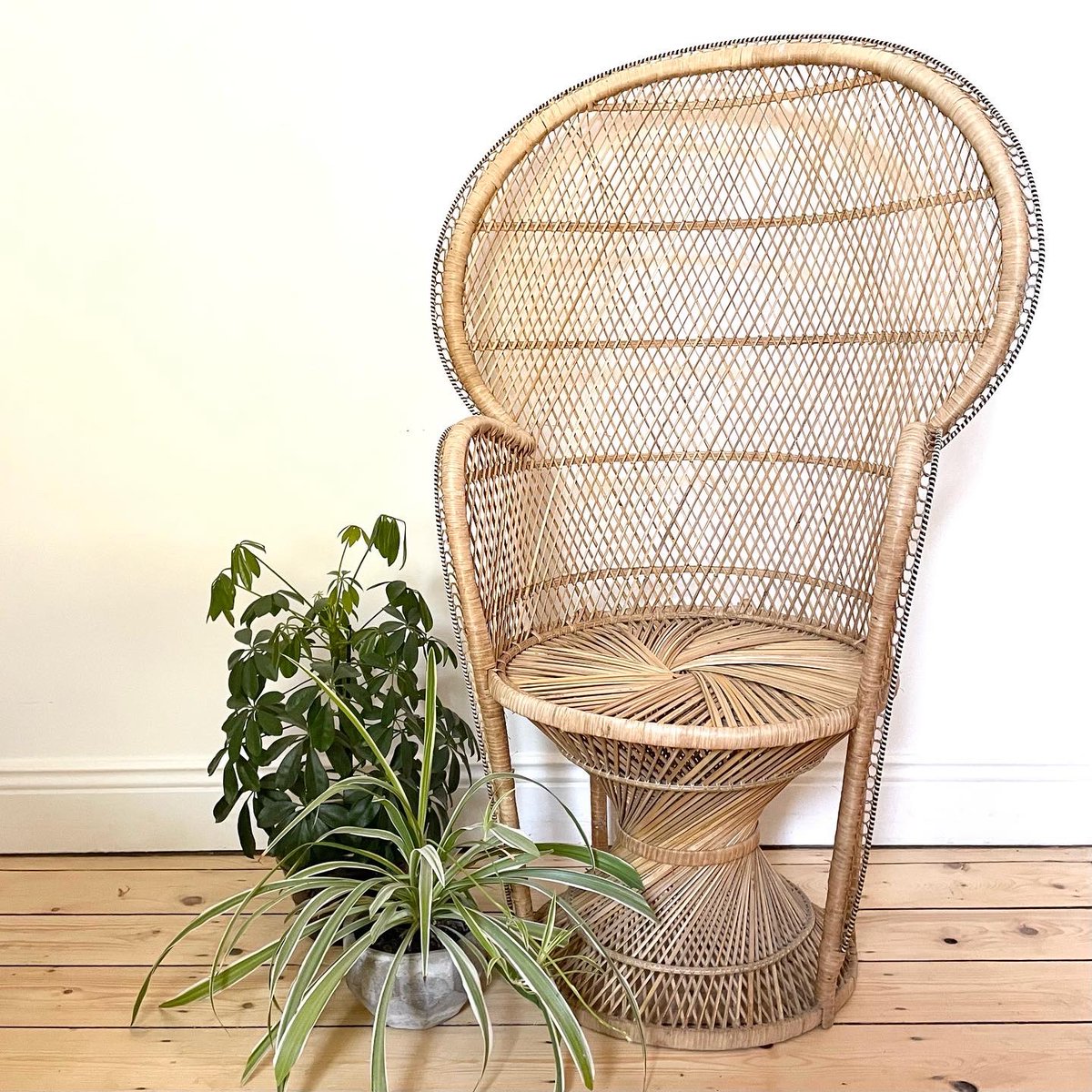 Findshopstudio's tweet photo. We are not ready to give up on summertime boho interiors just yet. Check out this iconic gorgeous handmade rattan peacock chairs. This beautiful mid size 1970's version has arrived into stock. It's is online now!  www.find https://t.co/bGGx3Eltk8 #secondhandseptember https://t.co/bKv25kPBf5