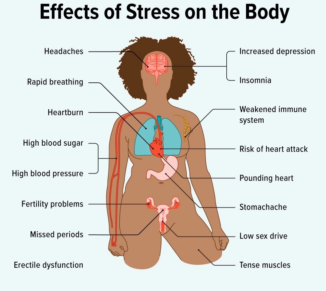 WrelaxTym's tweet photo. 👇This is what Stress does to your body.  Healthy experts always recommend either massage, jogging ,joga or gym to help with Stress.🤔 

Know that we are here for you🤦‍♂️💆‍♀️

#massage #professionalservices #indoor #outdoor https://t.co/xdJiaoOXIb
