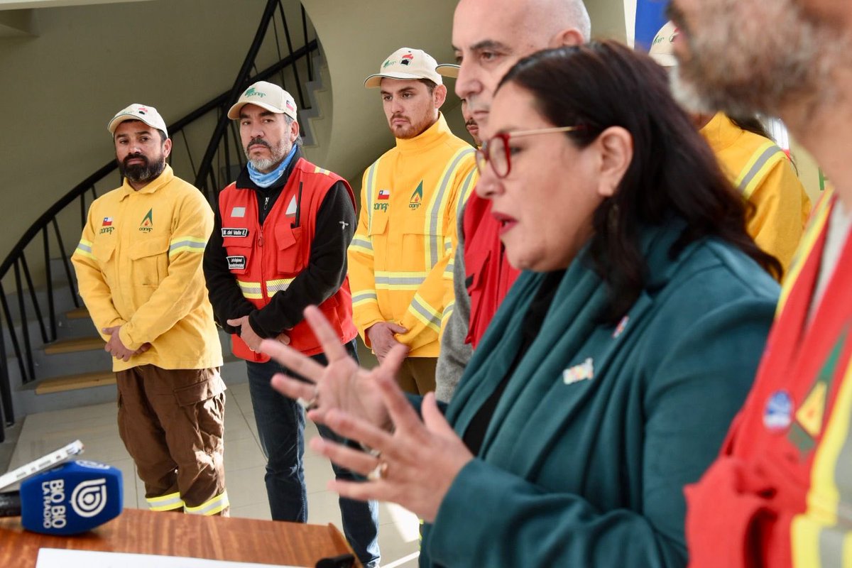 🌲Delegada @carlapenarios junto al seremi @MinagriCL y director de @conaf_losrios, llamaron a postular a los 110 cupos disponibles para brigadistas forestales para la temporada 2023-2024 de incendios 🔥, un 20% más que en años anteriores. 📲Postula en 👉conaf.cl.