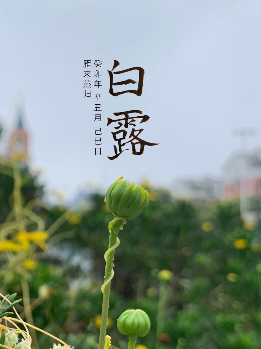 upUID's tweet image. 白露,雁来燕归
25.779, 113.019
#二十四节气 #白露 #0908 #二十四節氣 #書法 #毛筆字 #书法