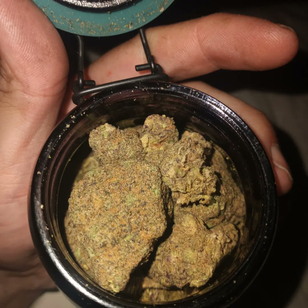 AgucciMf's tweet photo. Got that Dank, and got carts by the hundreds/thousands https://t.co/NVAKZeo8Ms