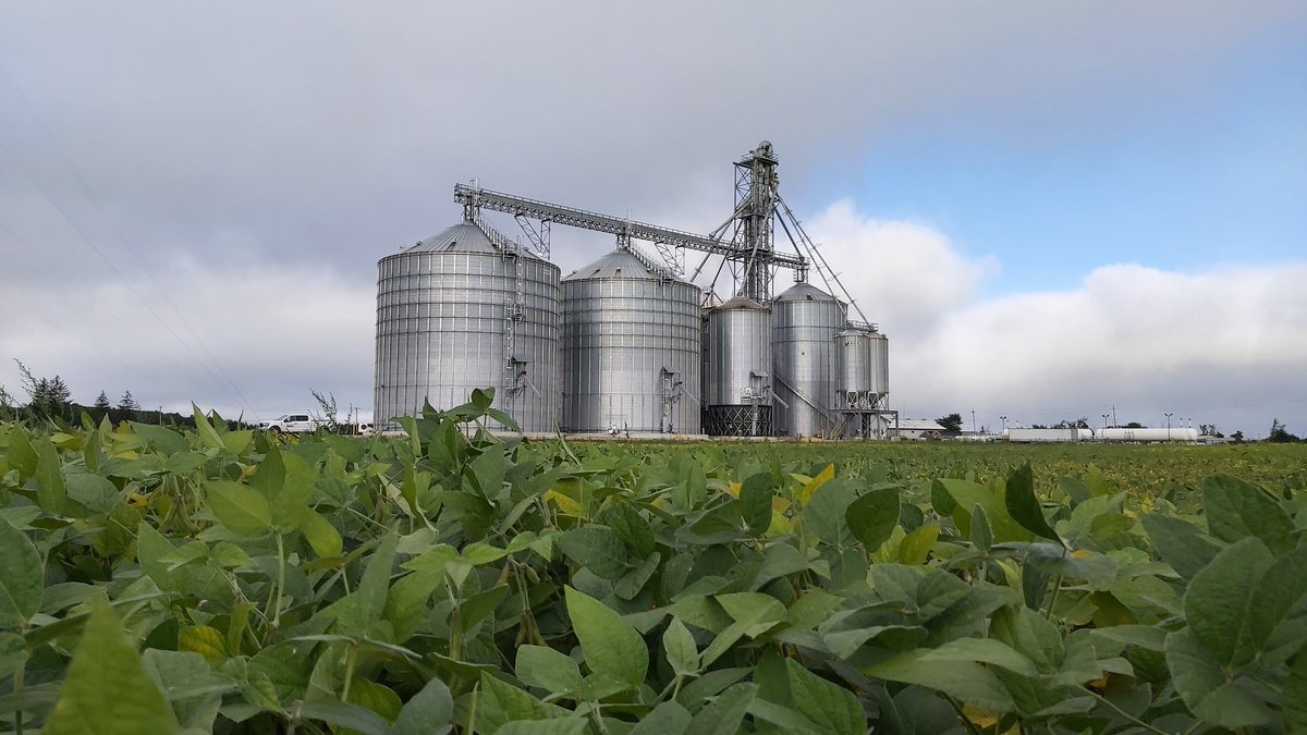 Devin Homick tweet media