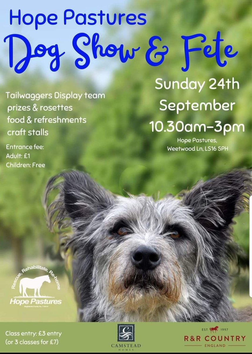 It's Dog Show time again. Come along to our famous Dog Show Sunday 24th September 10.30am to 3pm. Everyone welcome. 🐕 Leeds LS16 5PH #hopepastures #leeds #dogshow #horsesanctuary