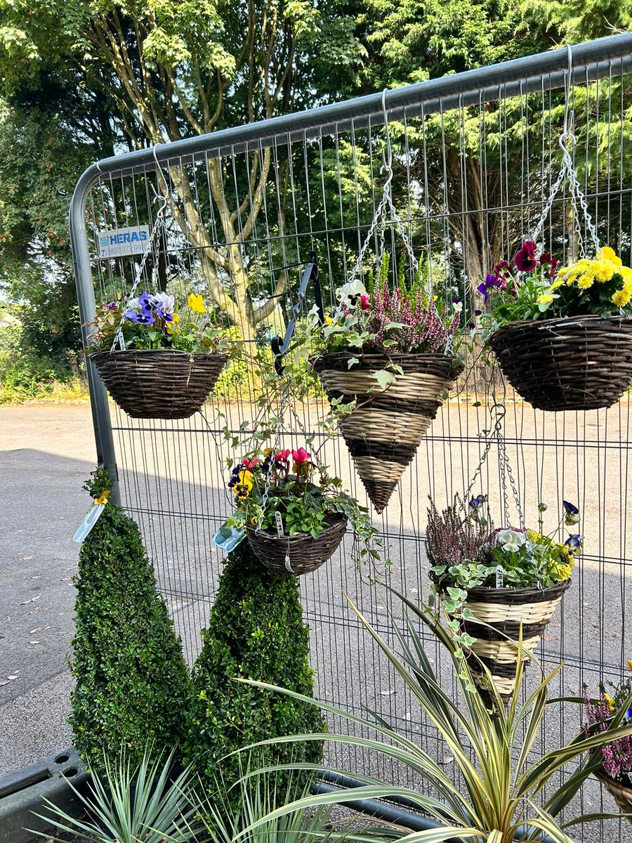 LBSTradeCentre's tweet photo. A beautiful mix of different plants now available to buy in the shop.

Limited stock so once they've gone, they've gone.

Shop is open till 5pm Mon - Fri. 🌺🪴🌸🌼🎍

#plants #flowers #gardening #colne https://t.co/TN4UDzkOLl