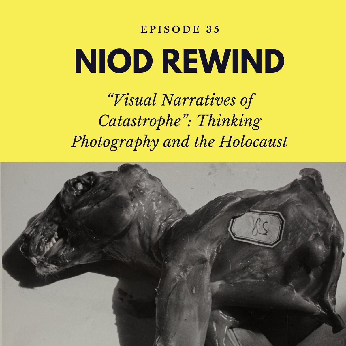 #PODCAST | Listen to the latest NIOD Rewind podcast, in which Anne van Mourik speaks with visual historian Kylie Thomas (<a href="/UCC/">UCC Ireland</a> and NIOD) about the meaning of the medium of photography for thinking about the Holocaust.

🎧 Visit your podcast-app or go here: ow.ly/MWG650PJem4