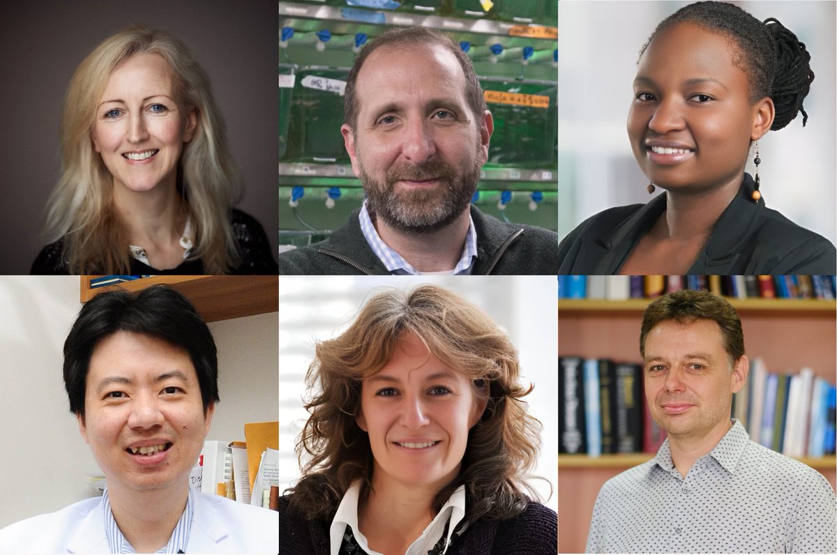 Nuffield Department of Medicine tweet media