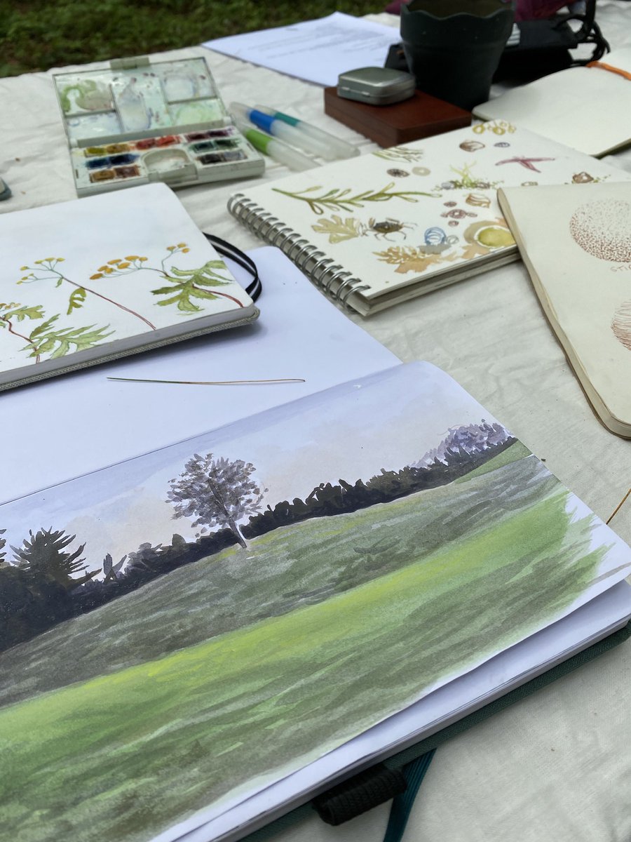 🌻 Rebekah Lowell 🐦‍⬛ tweet media