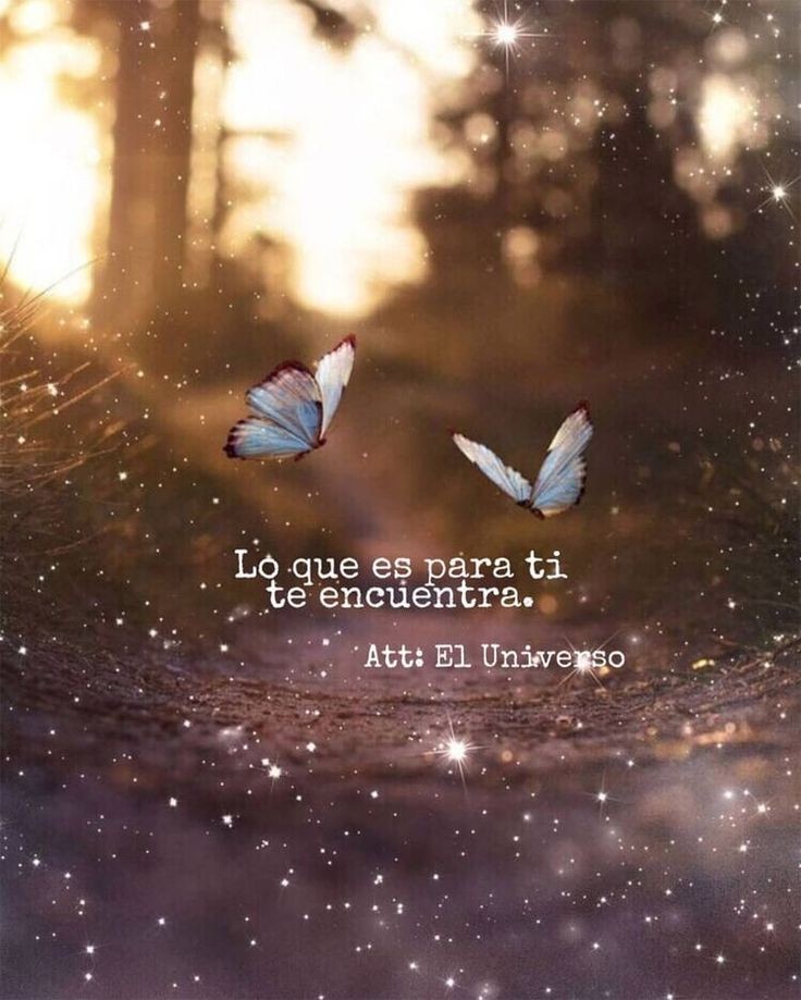 ✨Creo estar soñando✨ tweet media