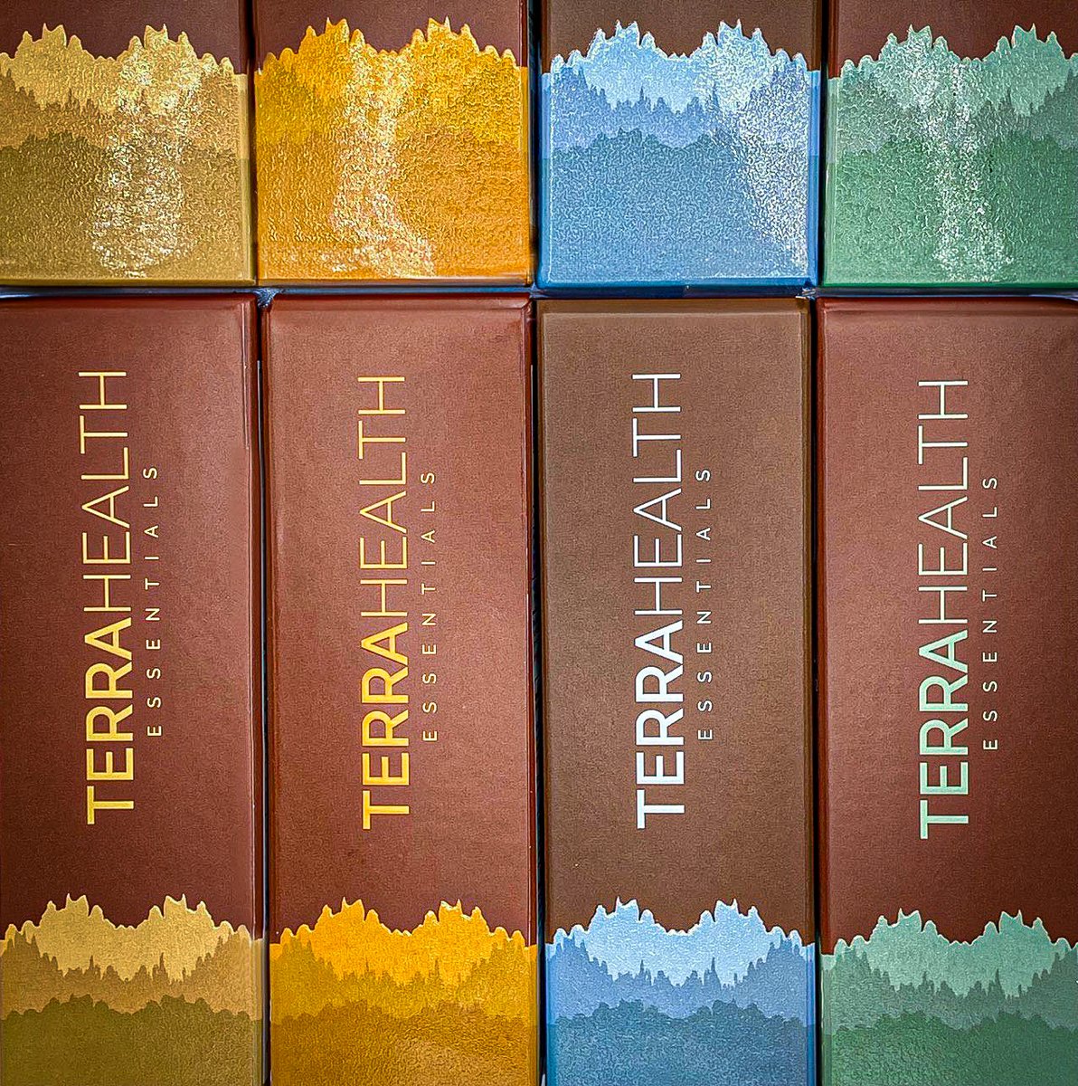 Terra Health Essentials tweet media
