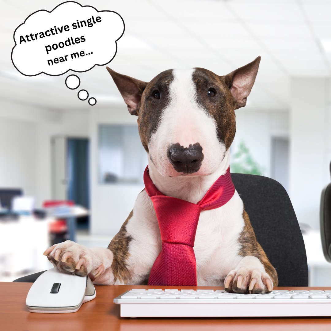 ScriptableSLLC's tweet image. 🐾 Even our furry friend here finds navigating a website built by 𝗦𝗰𝗿𝗶𝗽𝘁𝗮𝗯𝗹𝗲 𝗦𝗼𝗹𝘂𝘁𝗶𝗼𝗻𝘀 a walk in the park! 🐕 

scriptablesolutions.com/index.cfm?Page…

#ScriptableSolutions #EasyNavigation #WebDesign #CustomWebsites #RochesterNY