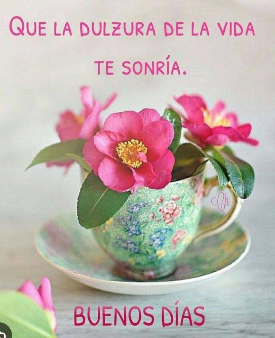 Feliz fin de semana para todos