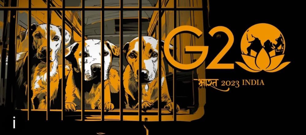 One world One family and Zero questions answered !!
@MCD_Delhi @OberoiShelly @RishiDevarch @JesudossAsher @tarana2510 

#G20India
#G20AnimalCruelty 
#G20ANIMALCRUELTY 
#NoMore50