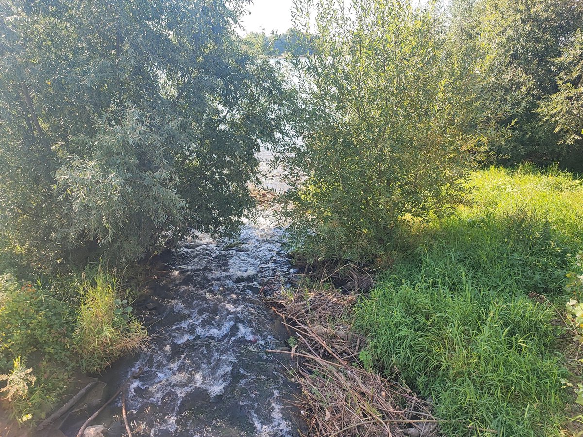WeareWuppertal's tweet photo. #Mulheim a/d #Ruhr durch, #Duisburg durch. Jetzt auf dem #Rhein Ufer Radweg Richtung #Düsseldorf - #FckThatComaTour #CiclistiAntifascisti https://t.co/gWkSZHjmmZ