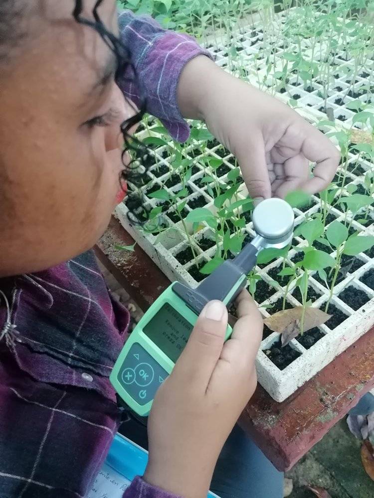 EE_IndioHatuey's tweet photo. 🌱Mediciones en las plántulas del Nitrógeno, la Clorofila, los  Flavonoides y las Antocianinas en el Patio Agroecológico La Luz. Universidad de Matanzas que forma futuros ingenieros agrónomos.
#TesisDeDiploma #UM #PericoEnVictoria #MatancerosEnVictoria https://t.co/ydlsGrr8FF