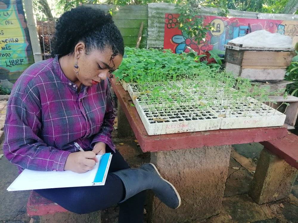 EE_IndioHatuey's tweet photo. 🌱Mediciones en las plántulas del Nitrógeno, la Clorofila, los  Flavonoides y las Antocianinas en el Patio Agroecológico La Luz. Universidad de Matanzas que forma futuros ingenieros agrónomos.
#TesisDeDiploma #UM #PericoEnVictoria #MatancerosEnVictoria https://t.co/ydlsGrr8FF