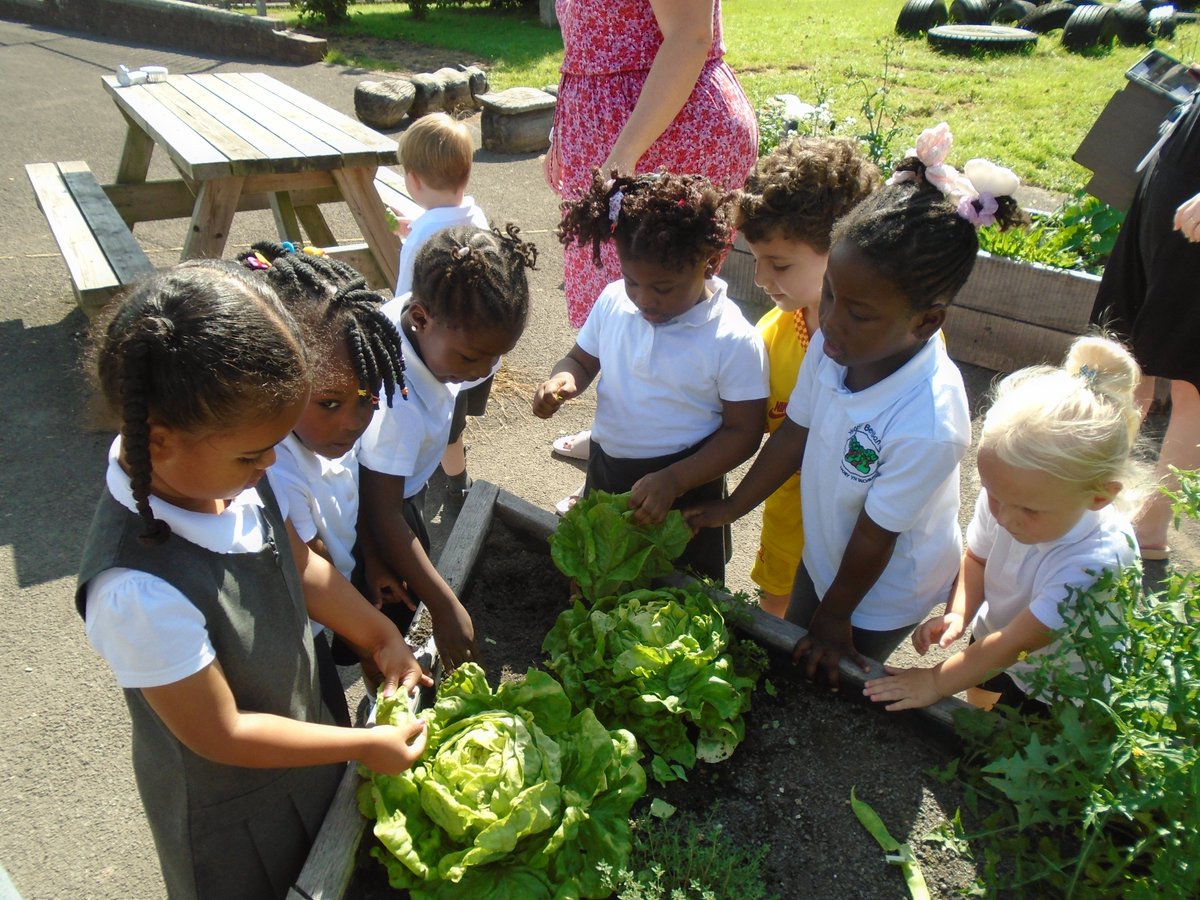 Greenway PS tweet media