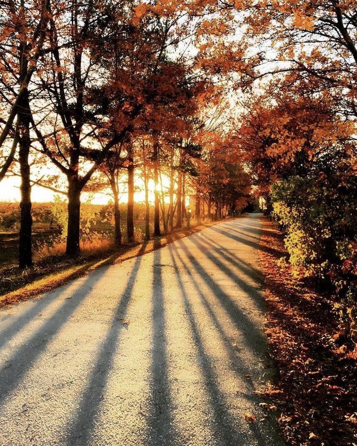 h e l e n a ☃️🌸🍁 (@helena_mar19) on Twitter photo Sun Rays 
(📷Pinterest) Sun Rays 
(📷Pinterest)