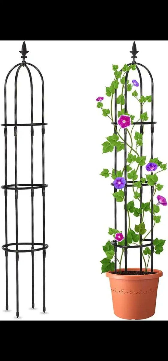 AdaFreebies's tweet photo. USA 
Need #review
Interested DM Me
#Amazon #USA #freebies #Washington #Giveaway #tester #free #Halloween #FLOWER #shopping #makeup #Moms #Influencer #reviews #plants #nature #Girls #women #etsy #store #fitness #Sellers #closet #Trending #products #fridaymorning #free https://t.co/qh6c2n1T47