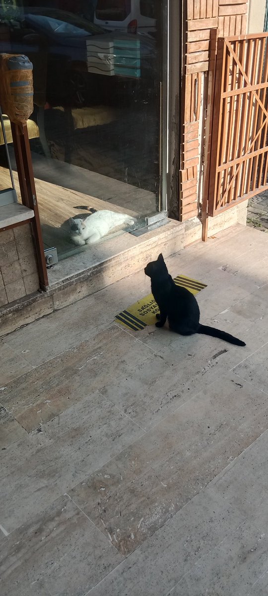 "Sağlığınız için sosyal mesafeyi koru"