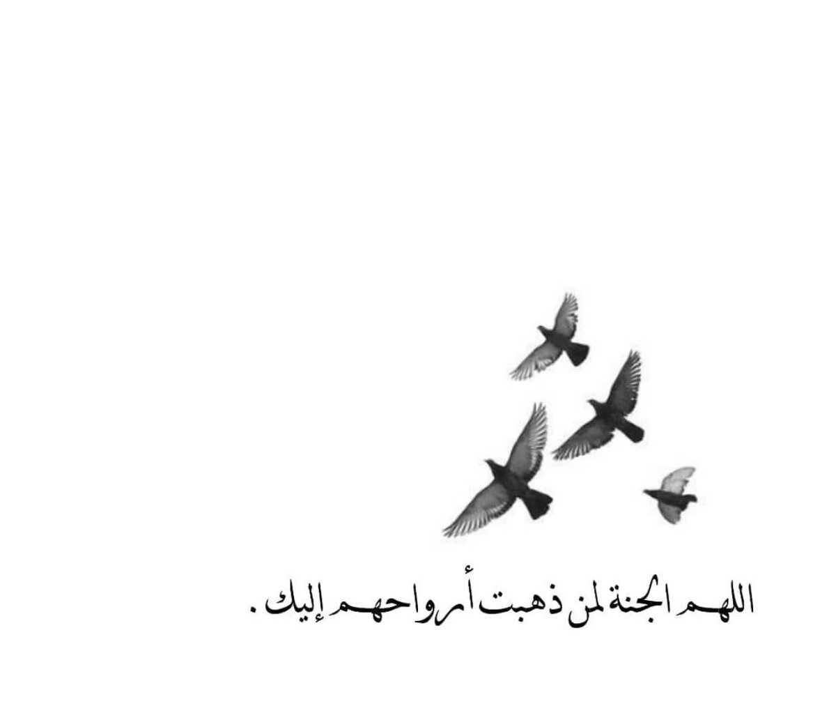 نور // واغفر لأبــي🤲🏻🤲🏻 tweet media