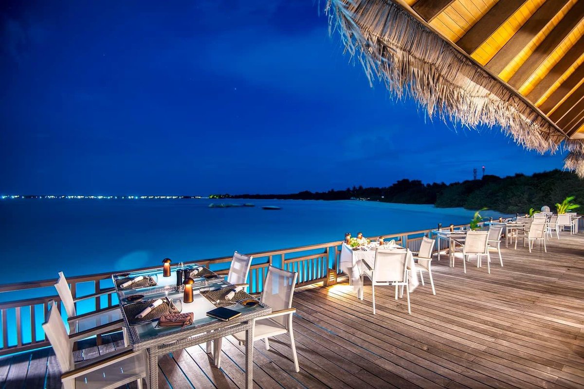 TheSignatureMV's tweet photo. Spectacular dinner views await… 💙

You have a choice five dining venues on our island, from Mediterranean to Asian Fusion... Why not try them all?

#thesignaturecollectionathideaway #signaturecollectionmaldives #maldivesresorts #luxuryhotels #maldivesislands https://t.co/gEXwym1Hqz