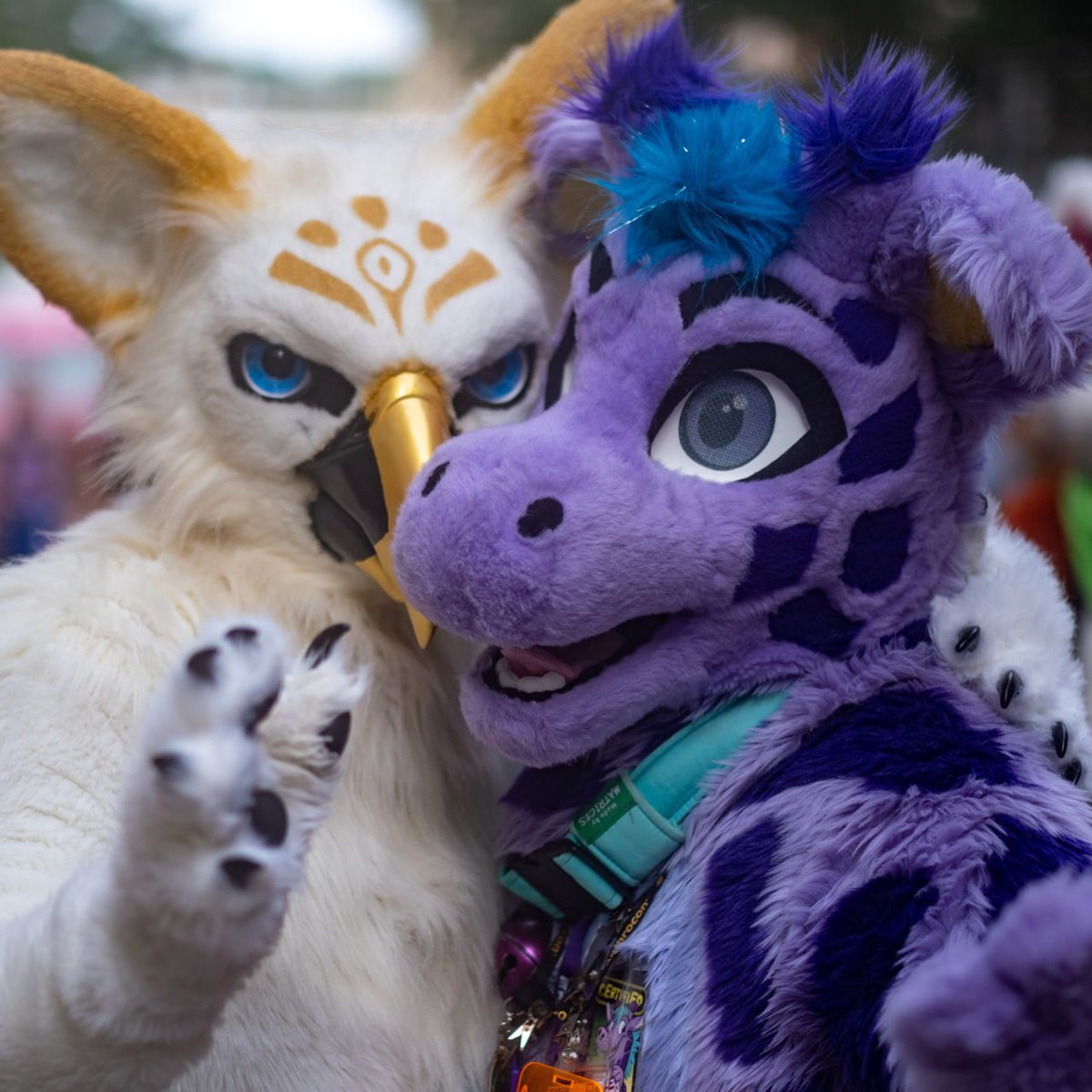 Birb friend. (Demetrius) Taken at #AC2023 Street Fair. :)  #FursuitFriday  📷: <a href="/PuckFen/">Puck</a>