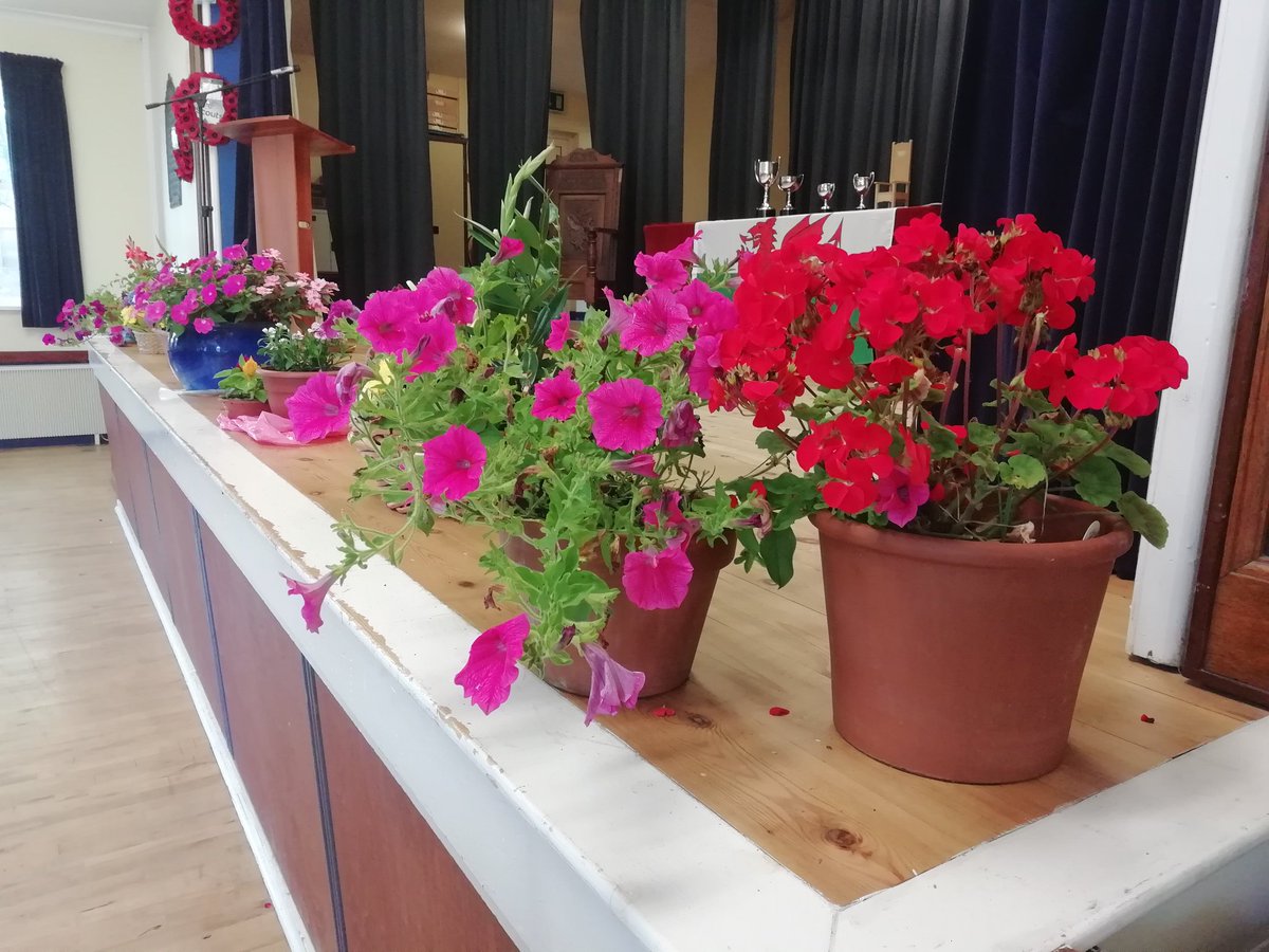 Eisteddfod Tregaron tweet media