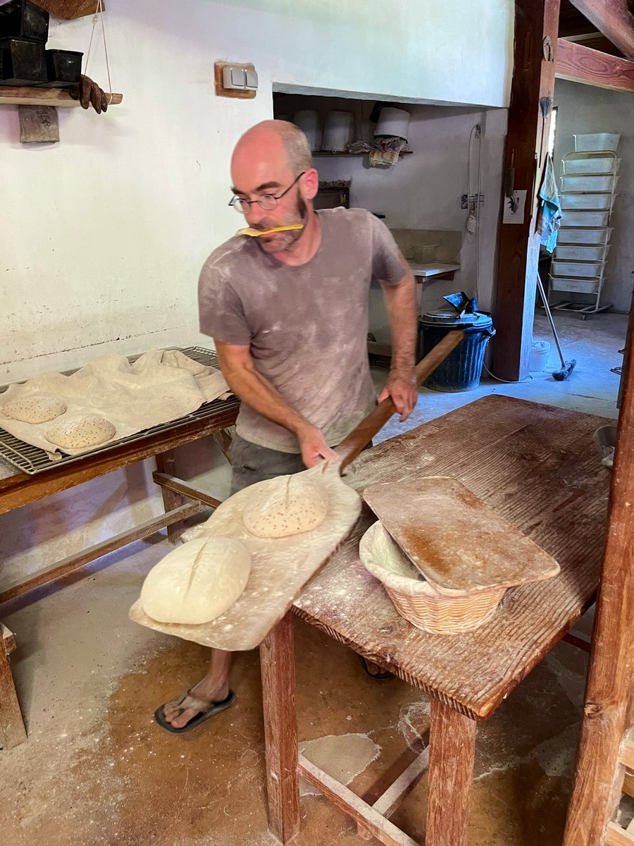 joukesp's tweet photo. #OffToFrance #Bread
We buy our bread at a farm in the next village. Imagine shovelling bread in a hot wood oven when it’s 35,5°C/96°F outside!
Hat off for the baker! https://t.co/7MiUSTjSVq