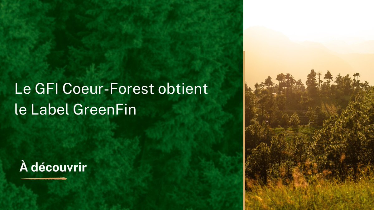 MeilleurGF's tweet photo. 🌲 Passionnant ! Le GFI Cœur-Forest est maintenant certifié GreenFin, un gage d'engagement envers la durabilité. Lisez tout sur cette réalisation ici : 

https://t.co/7Mmv18DSWw https://t.co/30yKhFQ6xy