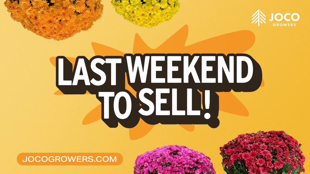 Hopkins PTA tweet media