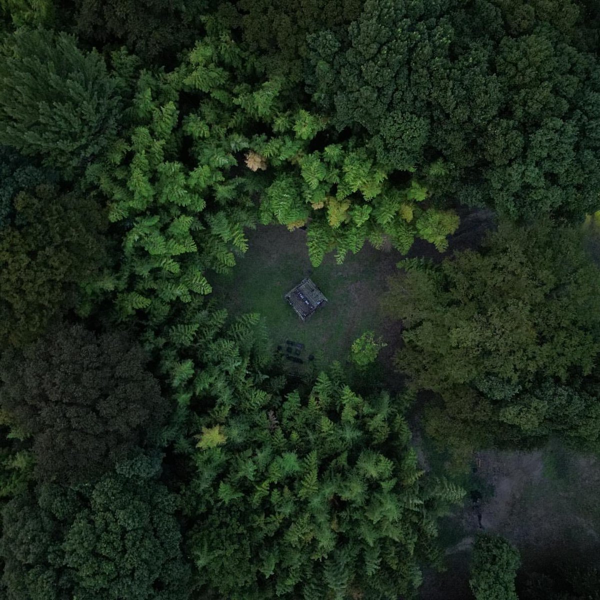 pm9_'s tweet image. ドローン空撮📸

#ドローン #djimini3pro #mini3pro