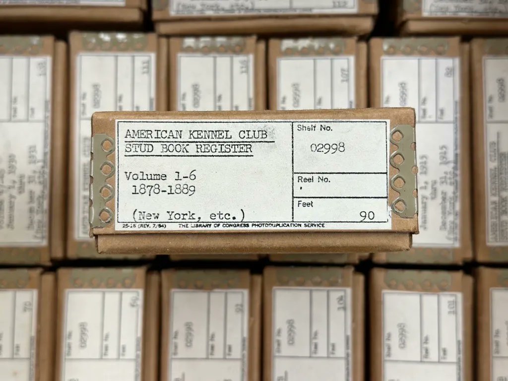 ZalkLibrary's tweet photo. Here's your daily dose of ✨archive aesthetic✨ #MizzouLibraries #Archives #Microfilm https://t.co/0zm3DmpuZB