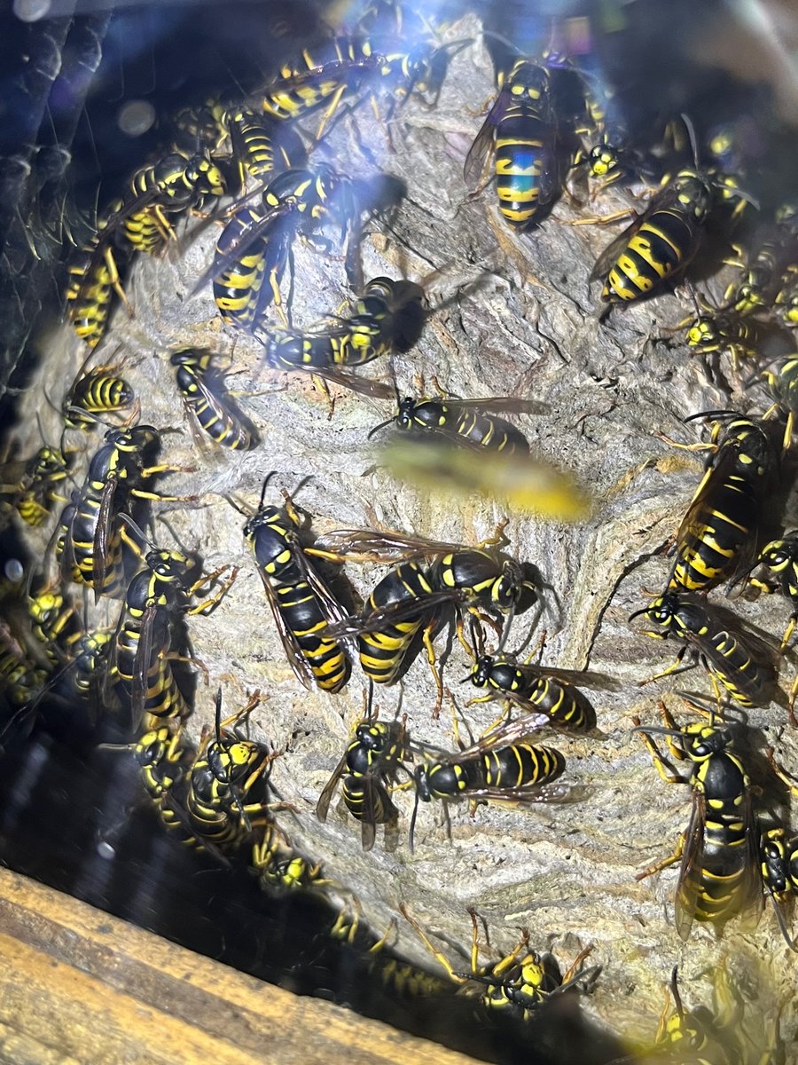 Scott Nacko tweet media