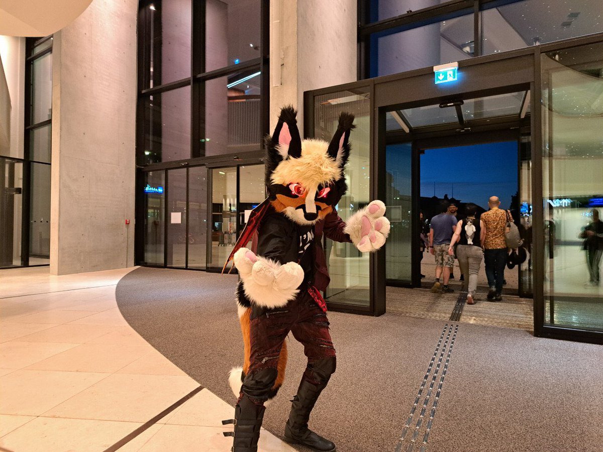 Tsuki (@tsukifoxcat.bsky.social) 🦊🐈 tweet media