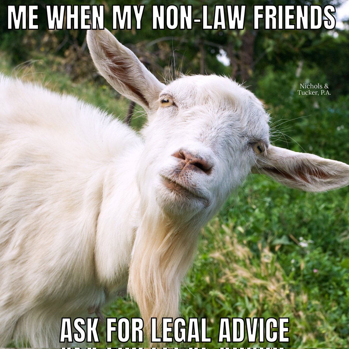 portlandMElaw's tweet image. Happy Meme Friday!! #fridaymorning #Memes #attorneyproblems #lawyerissues #Friday #lawx #Law #Crypto