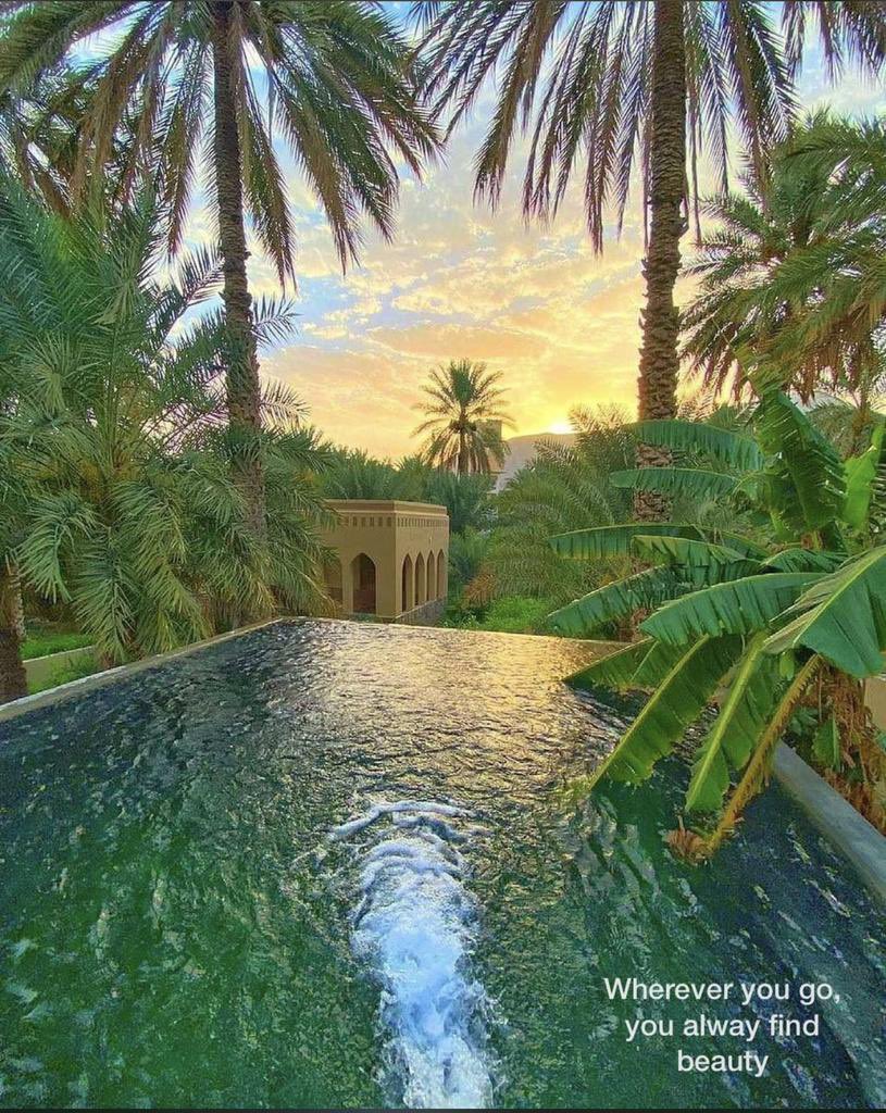 Arabbeau's tweet photo. About this beauty - Oman https://t.co/yHNuZO2LvK