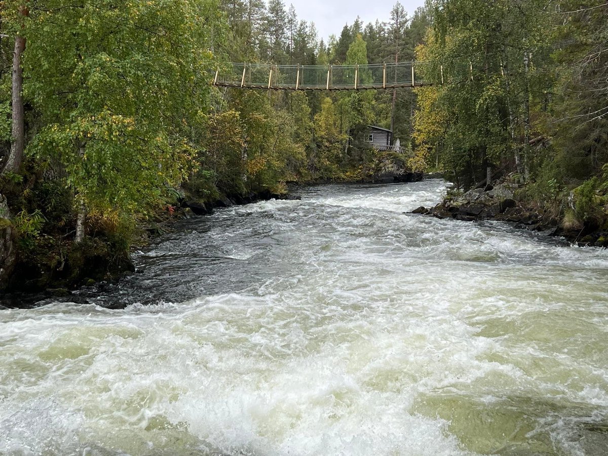 RitvaKnuuti's tweet photo. Päivä Juumassa ! #Kuusamo #Juuma #Myllykoski https://t.co/suF25weeAR