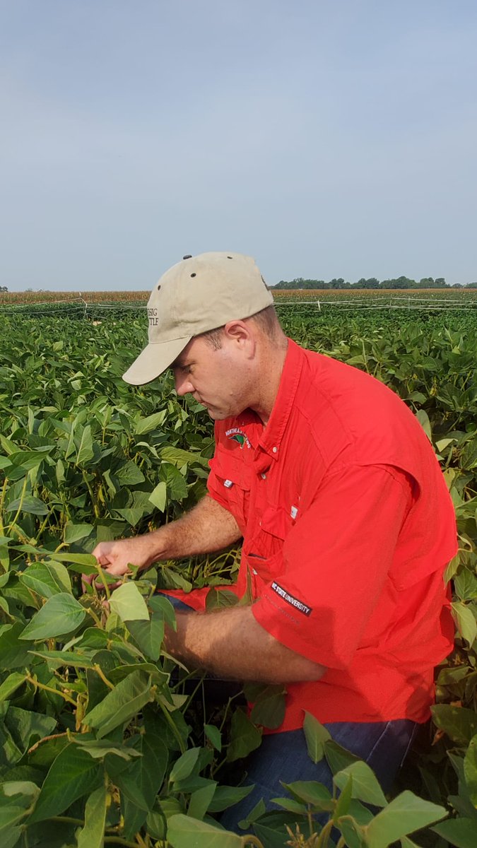 Igor Sulzbacher Schardong tweet media