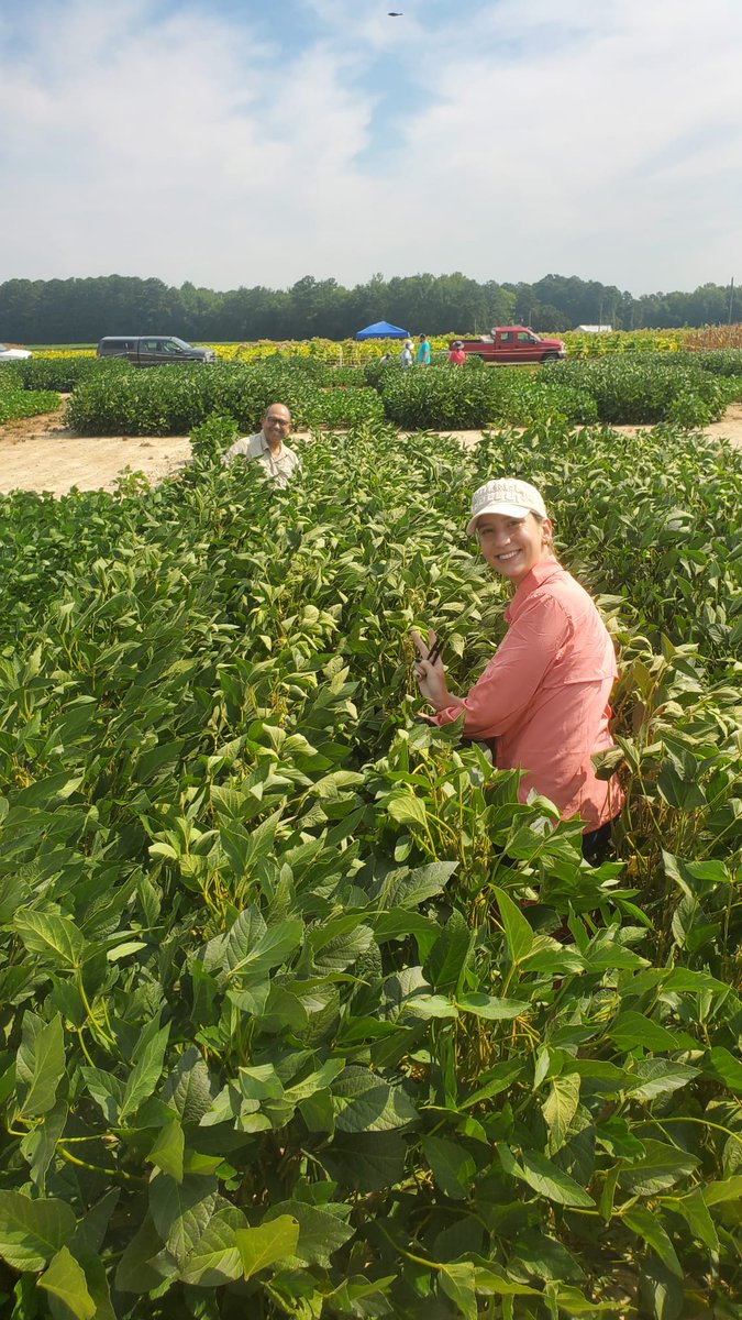 Igor Sulzbacher Schardong tweet media