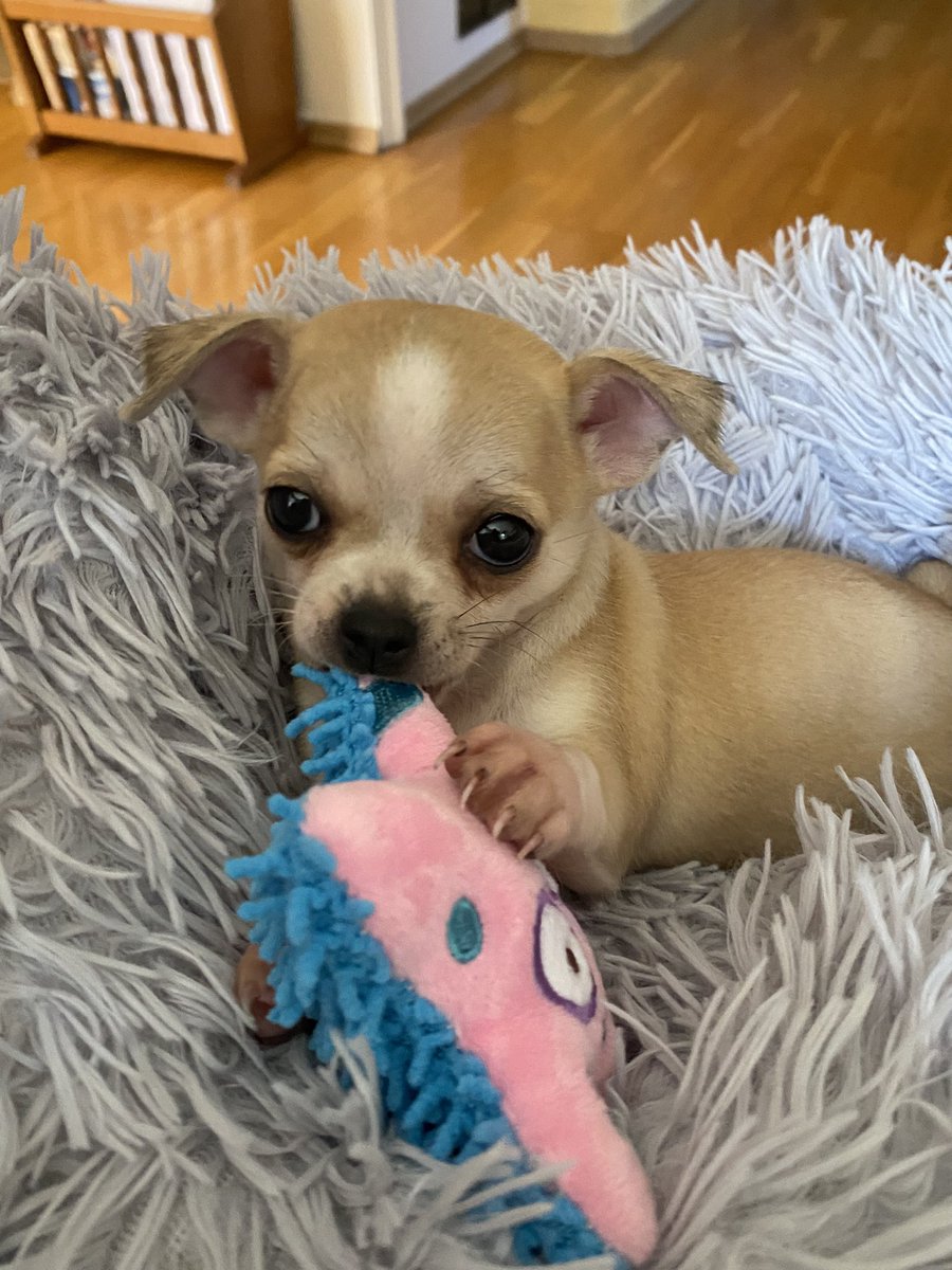 🥺😍
