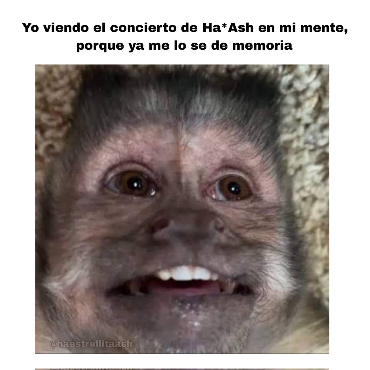 Si soy <a href="/haashoficial/">Ha*Ash</a>