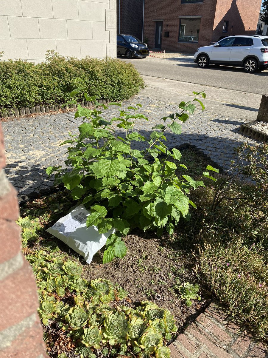 “Je pakket is bezorgd” staat in de melding, maar vijf uur later zie ik dat het beter “voor de deur gepleurd “ genoemd kan worden @DHLNL