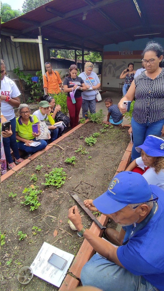Llegó el viernes, fin de semana de formación agroecologia en la escuela herues de Canaima de nuestra REPAEZ  Carabobo🌽 

#ProducirEsVencer 
#MaduroEsProteccionSocial 
💚💚💚

@avilaelguerrero @AngelMo_Gocho 
@CVAUP_AU  @Johamolina_jp @dcabellor